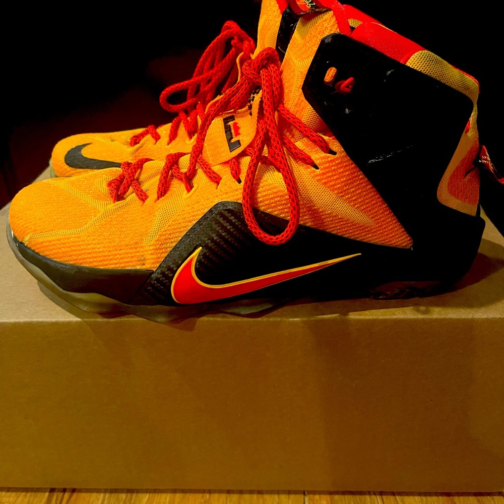 Used Lebrons